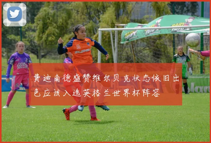 费迪南德盛赞维尔贝克状态依旧出色应该入选英格兰世界杯阵容