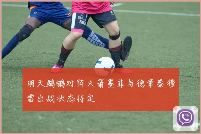 明天鹈鹕对阵火箭墨菲与德章泰穆雷出战状态待定